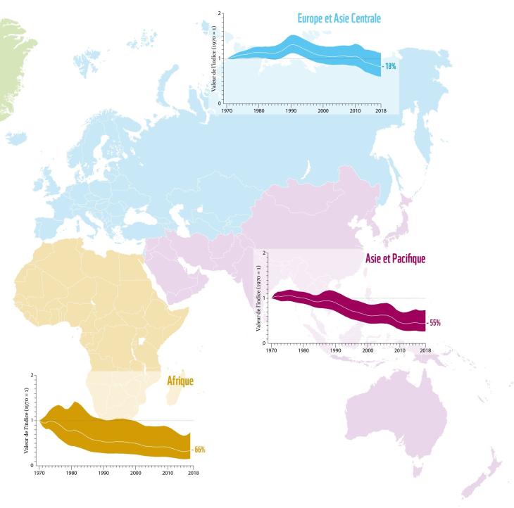 Rapport Planète vivante 2022, WWF